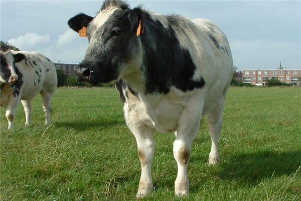 Landbouwbedrijf